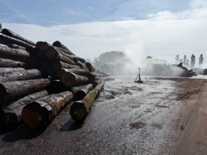 Roundwood logs at Laccy, Poland